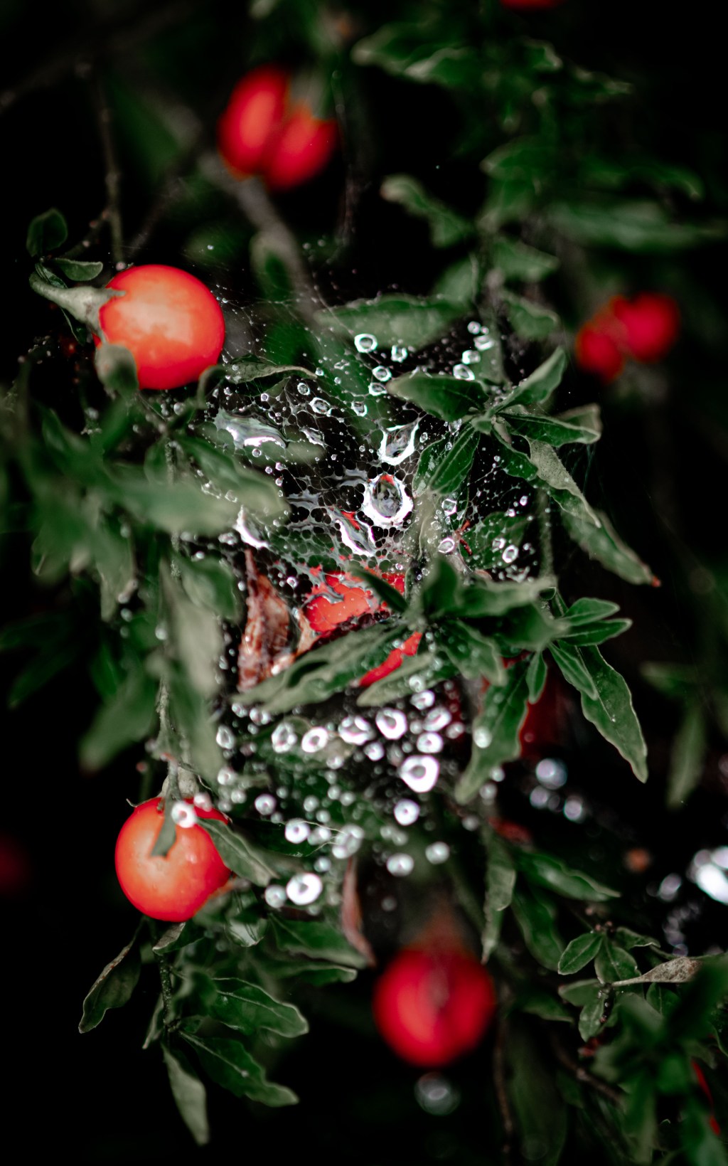 A Memory of&nbsp;Motion